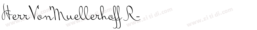 HerrVonMuellerhoff R字体转换